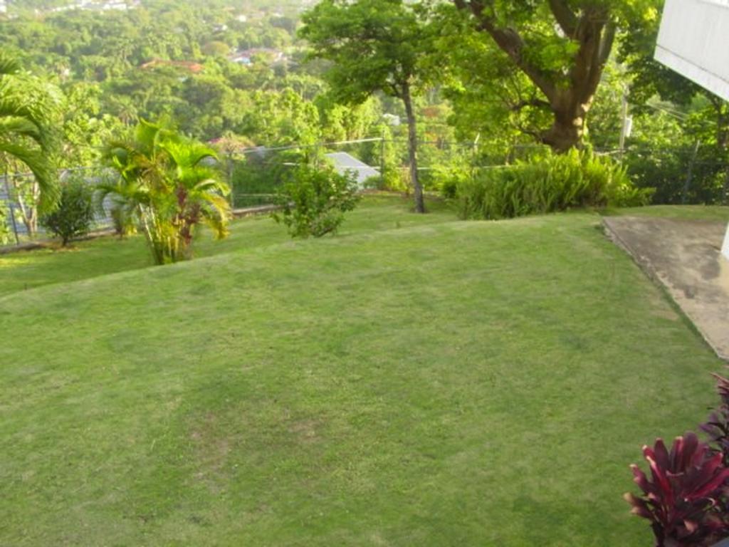 Hill Top Kingston Jamaica Eksteriør billede